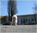 na v�stav�