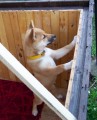 Poprv� v boud�
