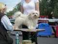 Elinka na v�stav�