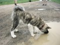 Abych si neu�pinila tlapi�ky!