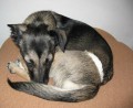 Nic mn� nebav�