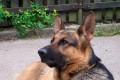 Co po mn� zase cht�j�?