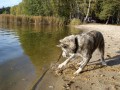 Vodi�kaaa