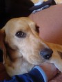 pro� m� fot�?