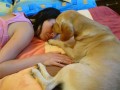 a ted ti to oplat�m