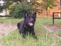 vte�inka odpo�inku a hned se zas pust�m do lump�ren ;-)