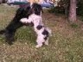 ..a te� val��k Endy!