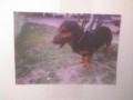 ruzn�