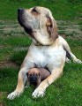 Moje m�ma a j�