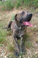 Phill - na �tulek u� jen vzpom�n�m.