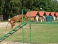 Kladina vysok� se �eb�i