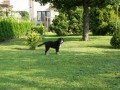 Bafi - 3 m�s�ce