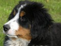 a jedno detailn� foto