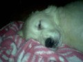 Taakovej to byl mr�o�ek
