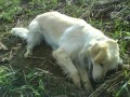 My�ilov