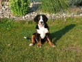 Tak hod� ten bal�n?