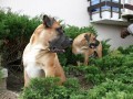 t�ta s m�mou