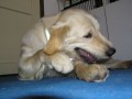 Hlavn� kdy� to lupe