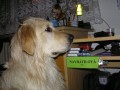 Nap�nav� chv�le