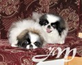 ENNY a ELLY od Mach��k�