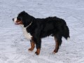 Kone�n� zima