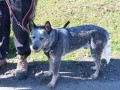 Vod�tko