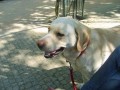 jak kouk�:)