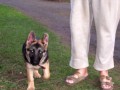 mal� Aisha