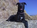 Berry p�zuje :-)