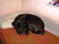 takhle spink�m