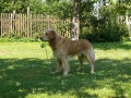 Tak bude si se mnou n�kdo hr�t? 