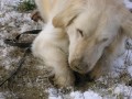 My�ilov