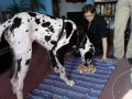 Ag� 3 roky