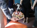 Ag� 3 roky