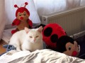 Z�ti�� s beru�kama