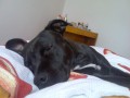 Spink�m