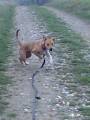 Prvn� na�e vychajda