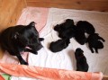 Kokyny d�ti�ky