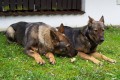 Setk�n� s maminkou