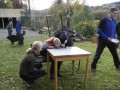jeden tal��