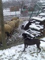 S ove�kama