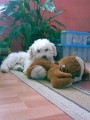 ..a tohle je m�j ply�ov� kamar�d.. 21.05.08