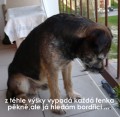 po �em tou�� pejsci