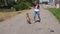 Drez�ra drav� zv��e :)