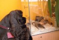 Nechce� se sezn�mit? :)