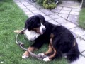 Berny a uzl�k