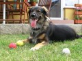 J� a moje m��ky