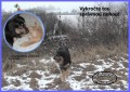 Vykro�en�