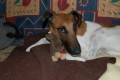 S ply�ov�m k�mo�em