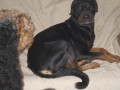 Amy a Buk�s